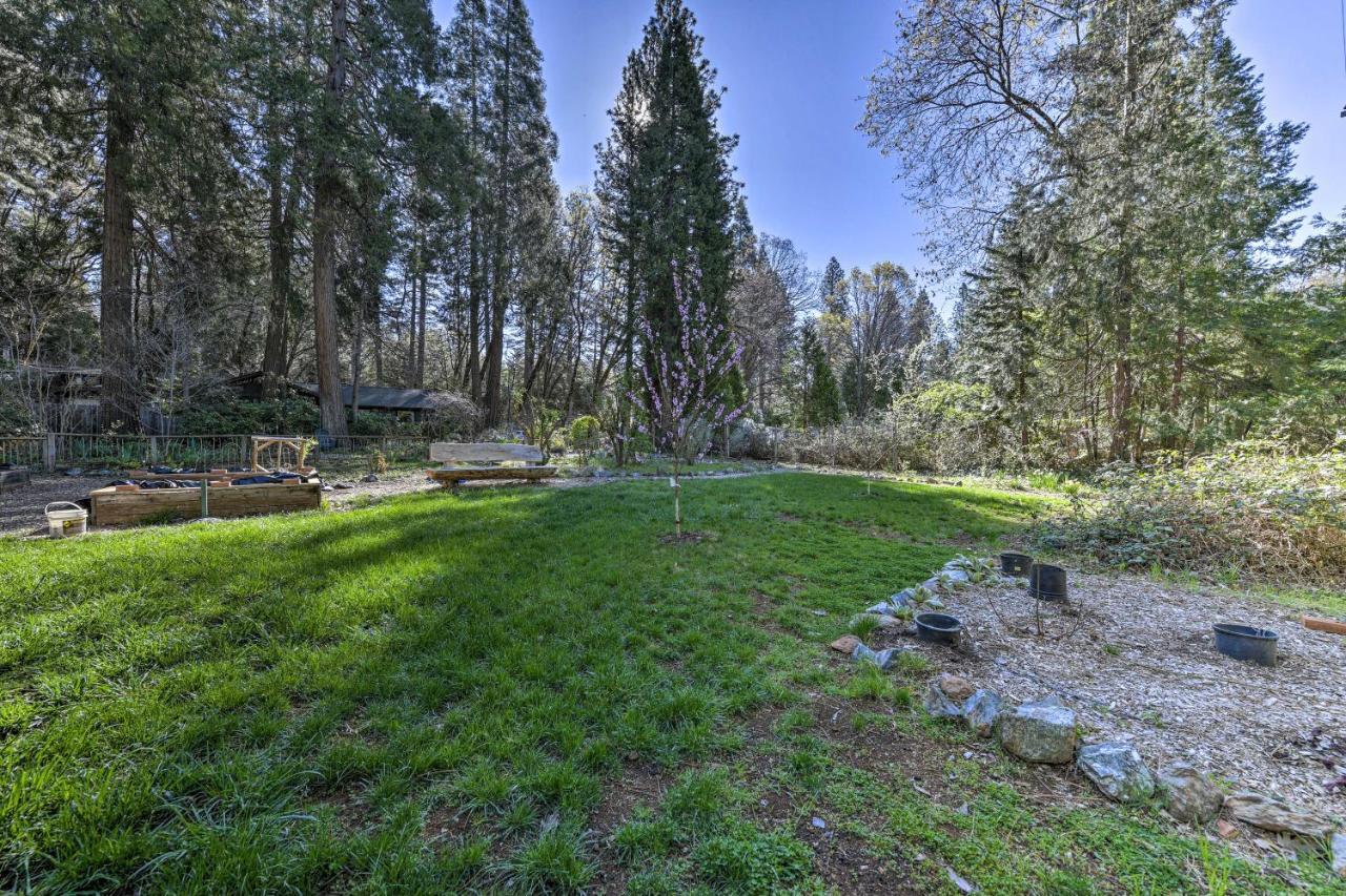 Peaceful Grass Valley Cottage With Bbq Grill And Yard! ภายนอก รูปภาพ